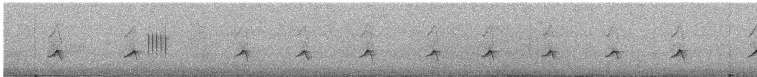 lejsek malý - ML650678340