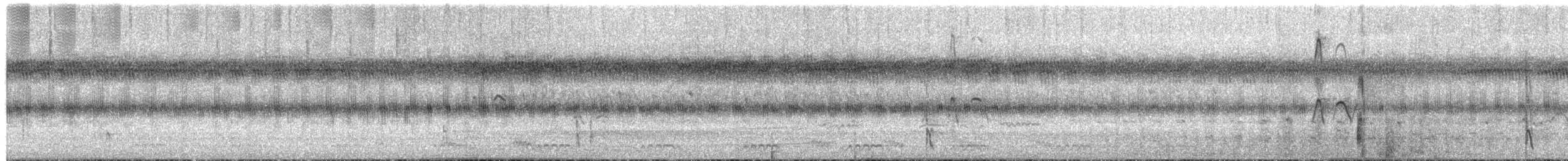 Странствующая древесная утка - ML650685584