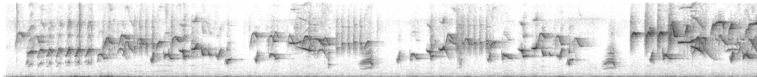 Сорочий шама - ML650685756