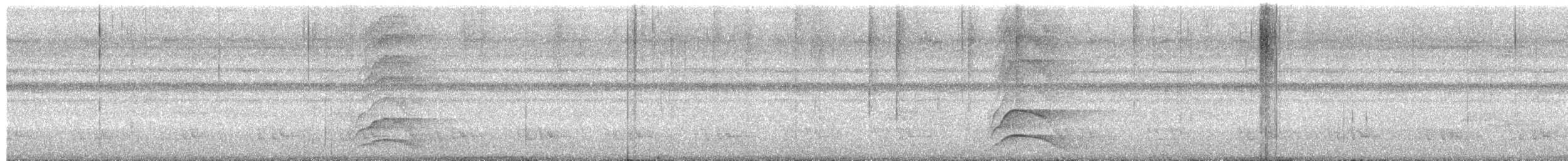 Яванский рогоклюв - ML650685822