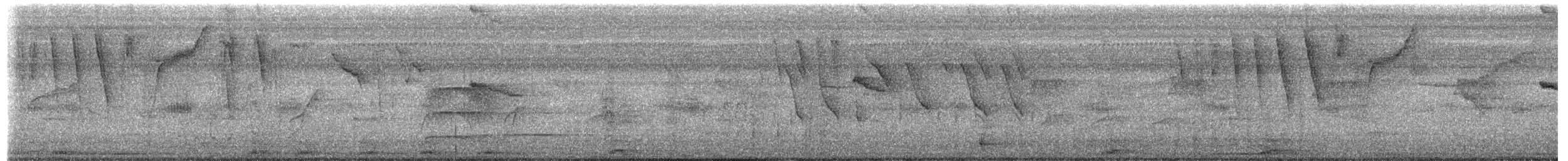 Банановая кареба, сахарная цветочница - ML650686967