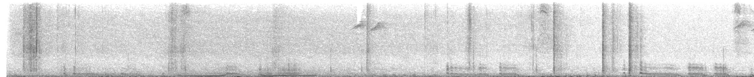 bažant měděný - ML650687896