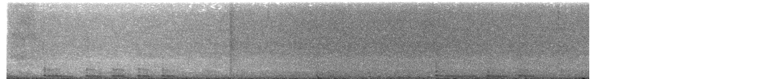 bažant měděný - ML650687897