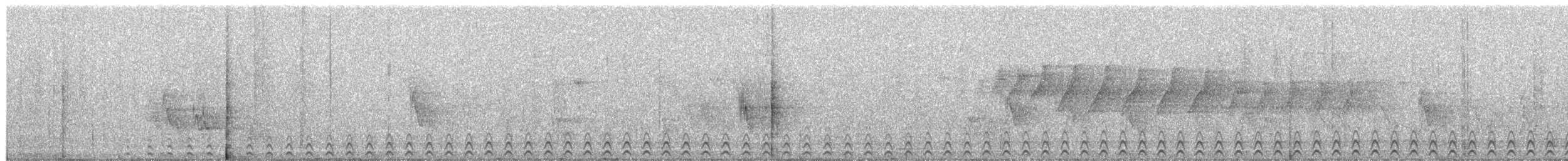 Forest Owlet - ML650688988