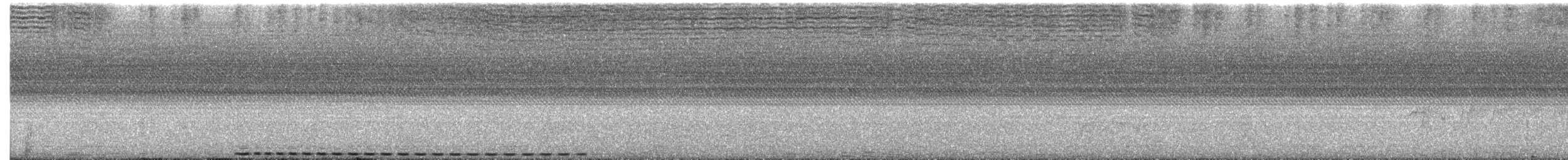 Burchell's Coucal - ML650689172