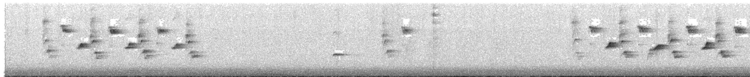 sýkora popelavá - ML650689386