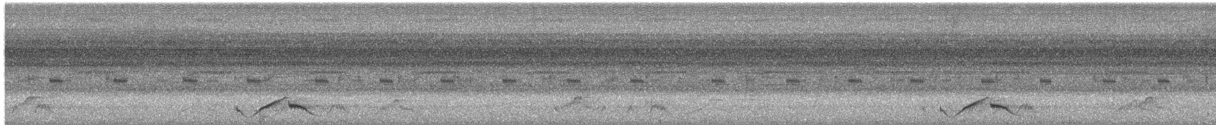 アカヨタカ - ML650692007