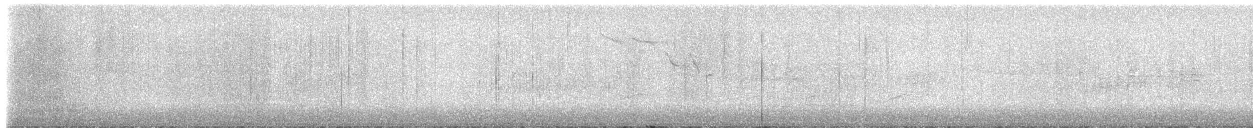 クマゲラ - ML650692645