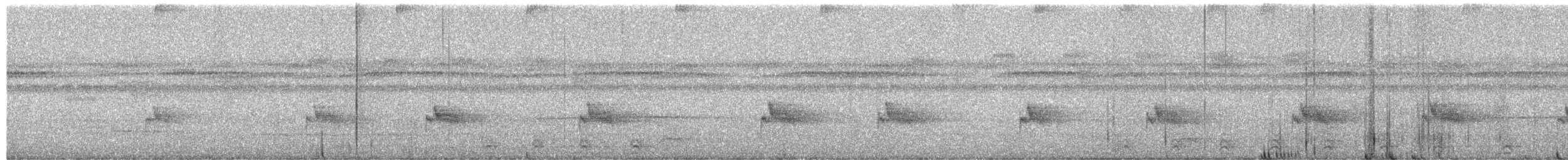 ムナジロモリミソサザイ - ML650692877