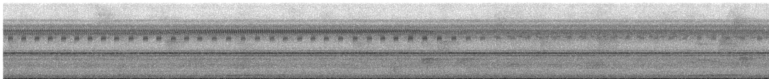 アメリカウズラバト属 - ML650693039