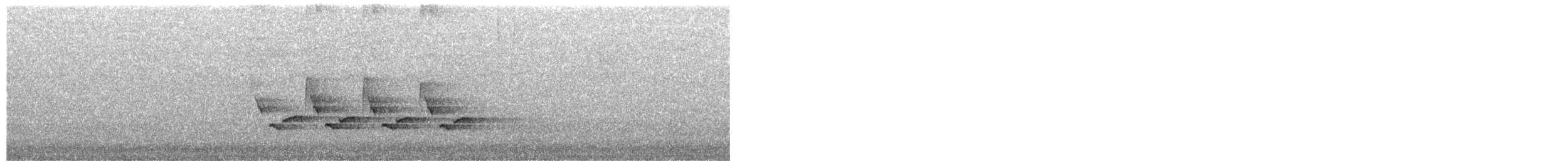 チャバラマユミソサザイ - ML650693338