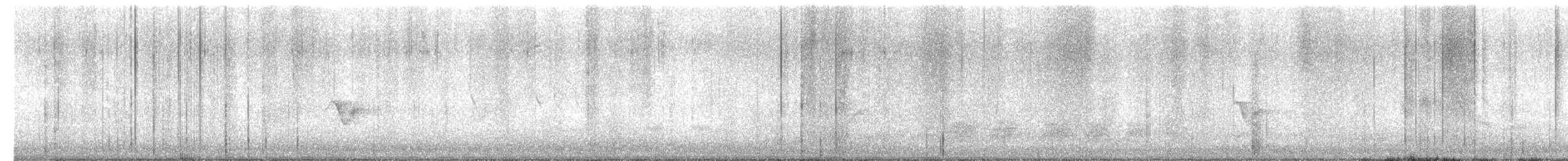 vireo sp. - ML650695498