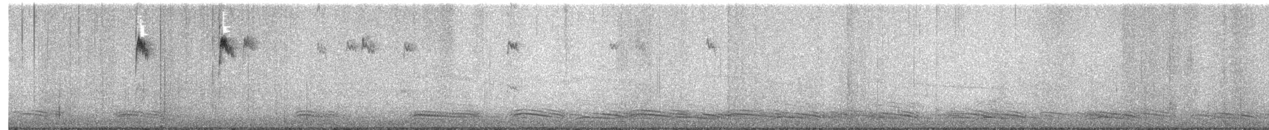 linduška olivová - ML650695695