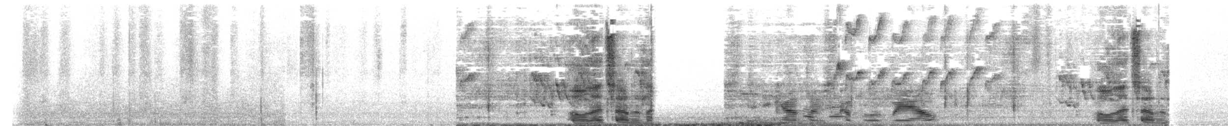 Solitary Sandpiper - ML650698516