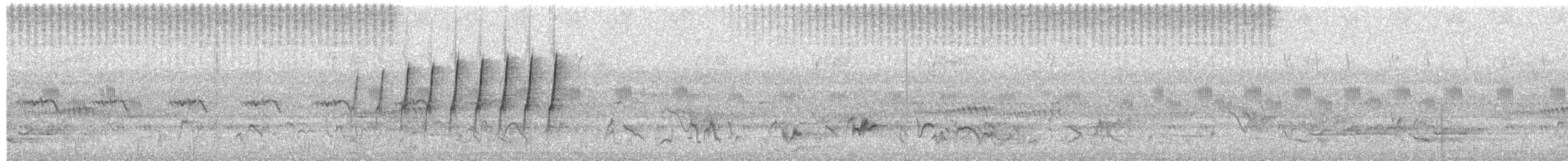 Tawny-flanked Prinia - ML650698990