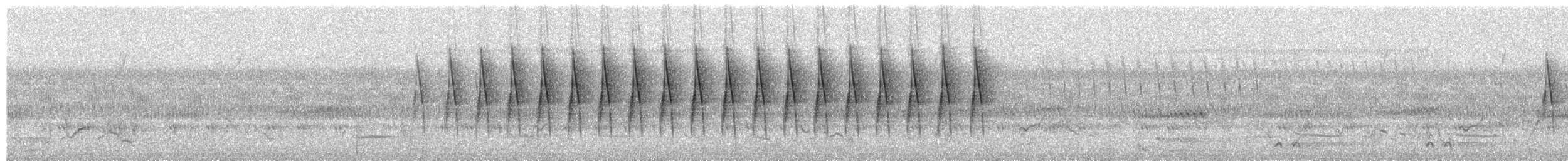 Tawny-flanked Prinia - ML650698991