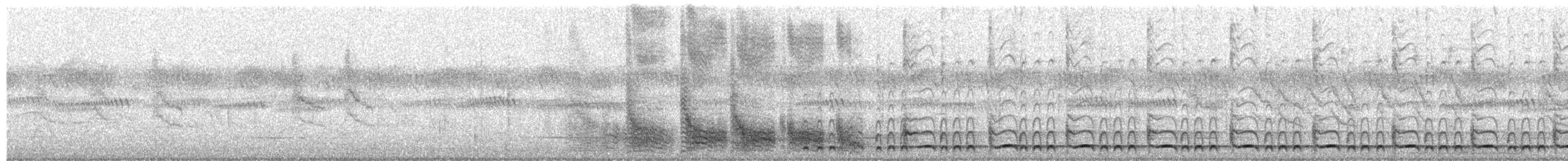 Halsband-Bartvogel - ML650699273