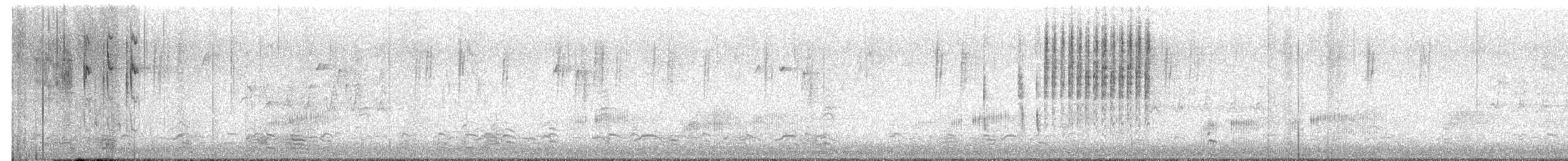 Marsh Wren - ML650705894