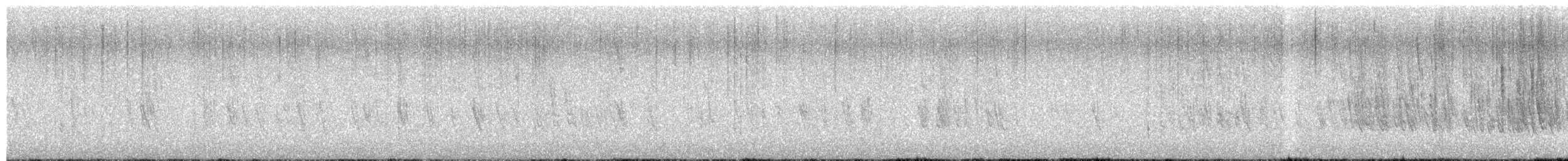 Sizerin flammé - ML650707678