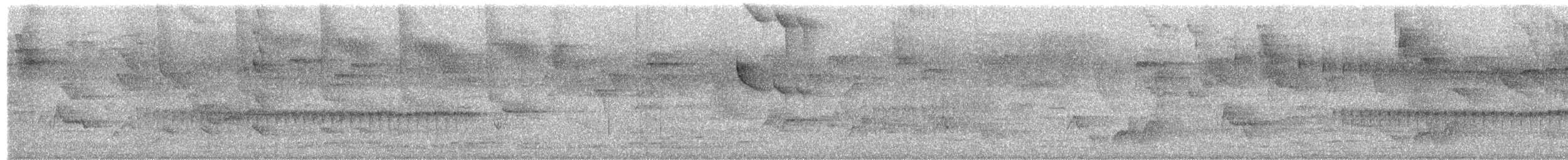 Long-billed Gnatwren - ML650709373