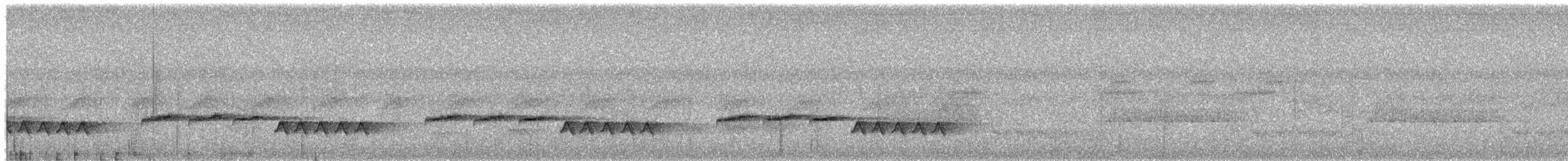 White-breasted Wood-Wren - ML650713918