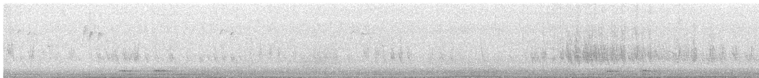 Sizerin flammé - ML650714193