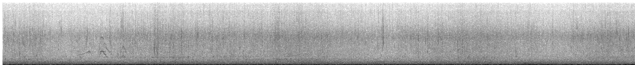 American Wigeon - ML650715078