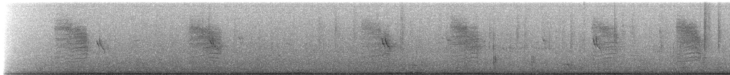 Troglodyte familier (groupe aedon) - ML650717201