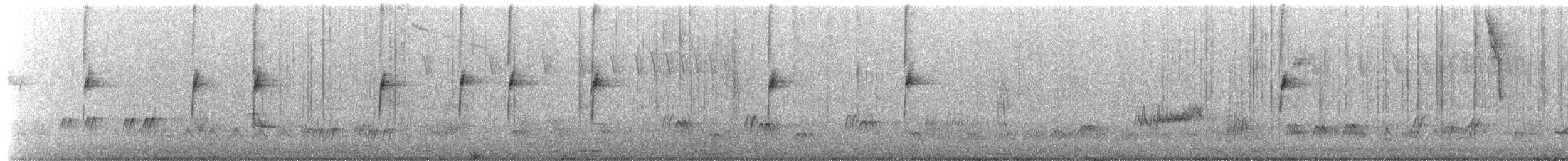 Bruant à couronne blanche (gambelii) - ML650717723