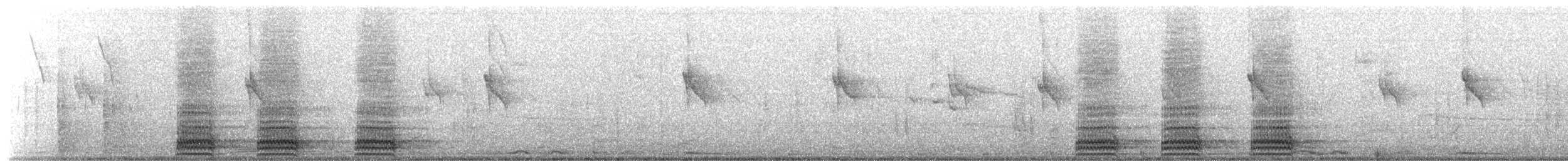 Grand Corbeau - ML650717856