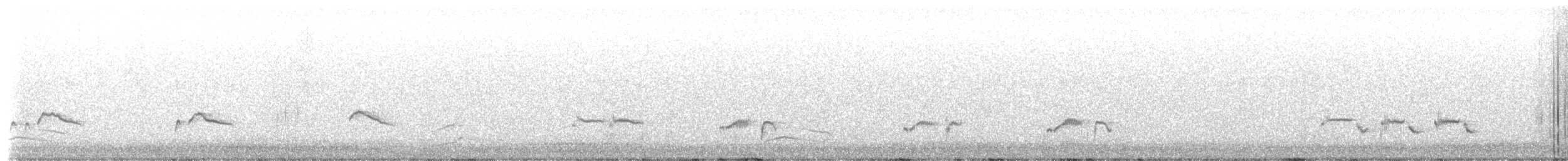 Northern Mockingbird - ML650721291