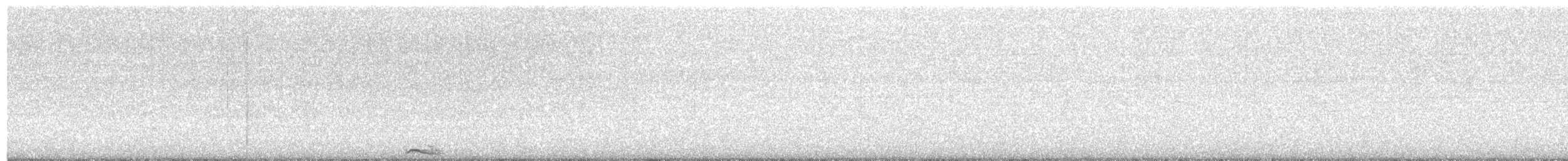 Collared Scops-Owl - ML650724215