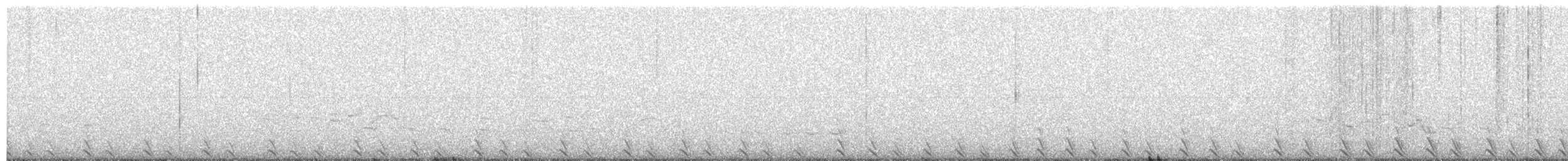 Mikado Pheasant - ML650724570