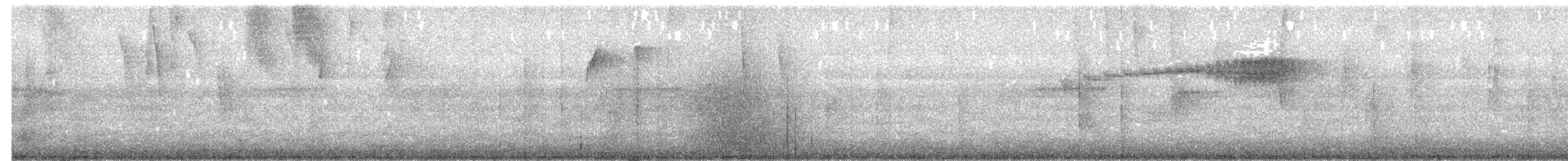 Chocówaldsänger - ML650725669