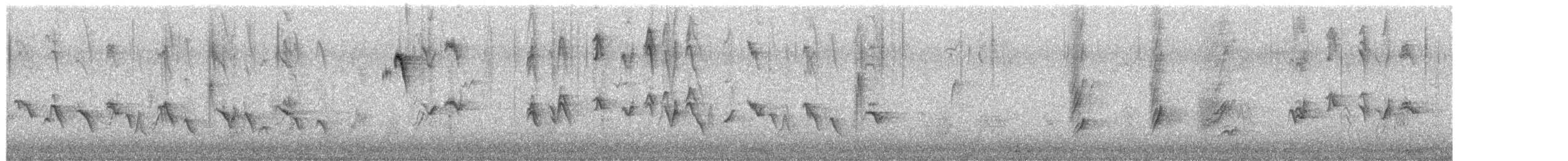 House Finch - ML650727629