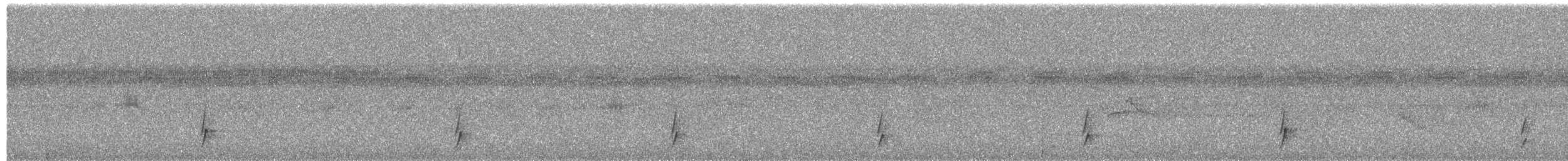 Tordo di Swainson - ML650733081