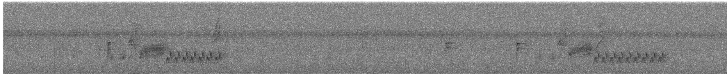 Southern House Wren - ML650733115