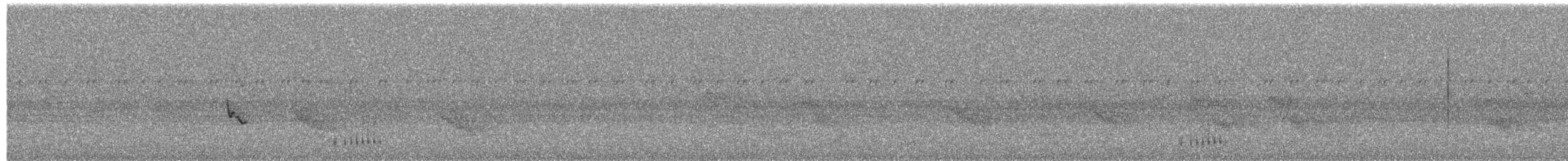 Chestnut-bellied Seed-Finch - ML650733144