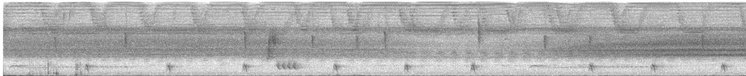 White-tailed Trogon - ML650737657