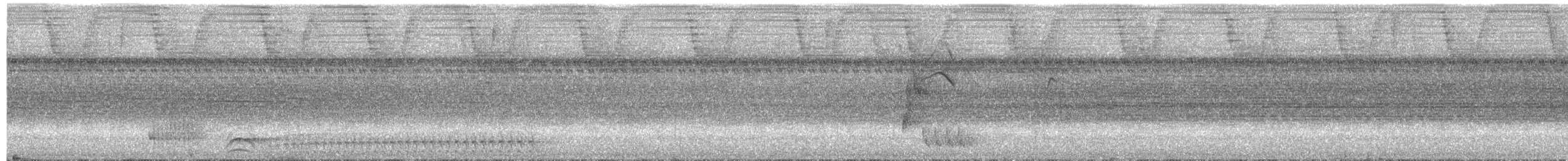 Black-crowned Antshrike - ML650737660