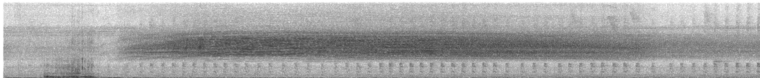 格拉納達松鼠 - ML650737724