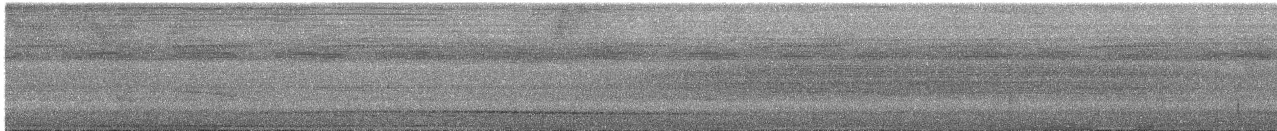 Black-striped Woodcreeper - ML650737733