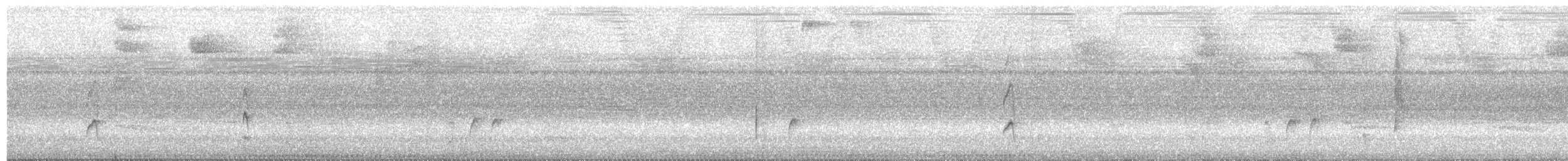 Dot-winged Antwren - ML650737742