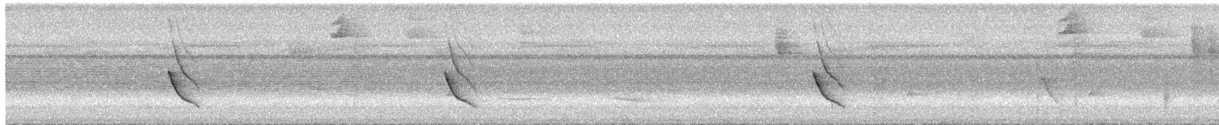 Dot-winged Antwren - ML650737743