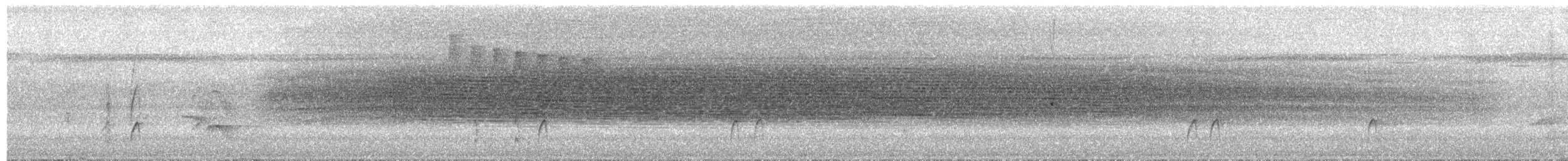 Dot-winged Antwren - ML650737749