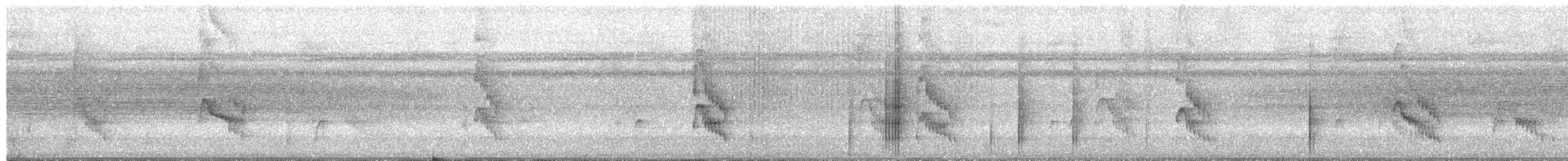 White-bearded Manakin - ML650737765