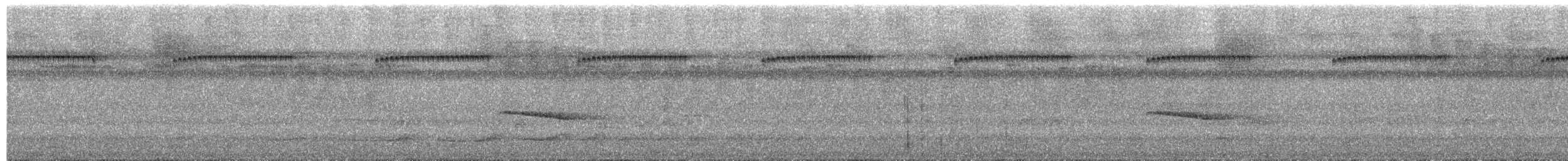 Northern Barred-Woodcreeper - ML650737983