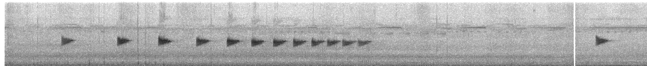 Highland Rush Warbler - ML650739873