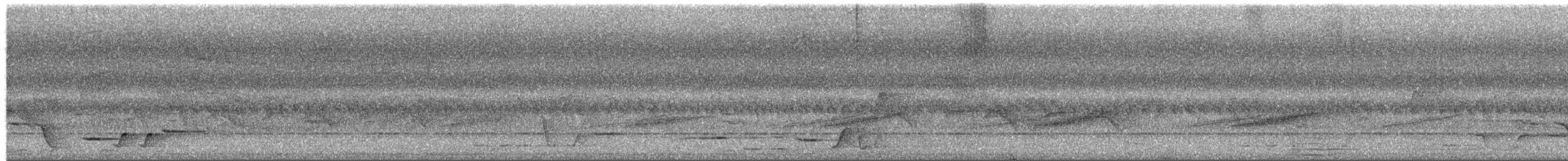 Australian Spectacled Monarch - ML650750703