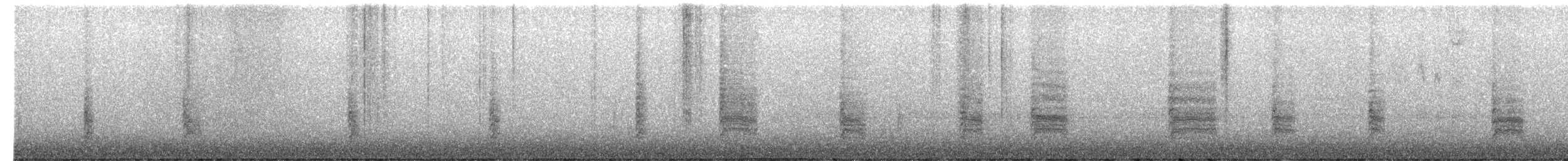 Bewick's Wren - ML650759653